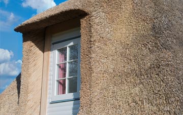 Retire thatch roof disadvantages